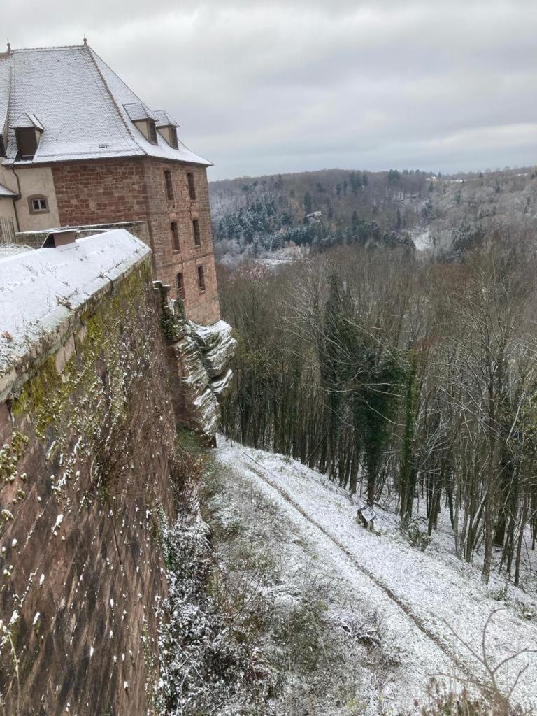 Le Cordonnier Du Staedel Villa La Petite-Pierre Exterior photo