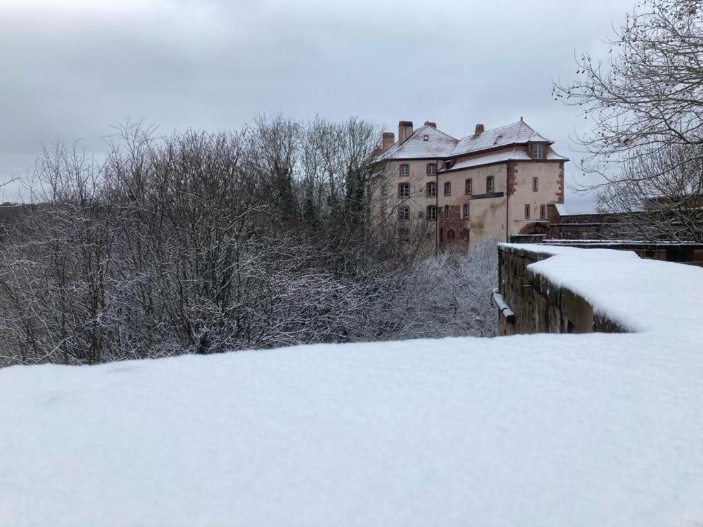 Le Cordonnier Du Staedel Villa La Petite-Pierre Exterior photo